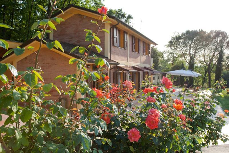 Agriturismo Di Paterno Sarzana Luaran gambar